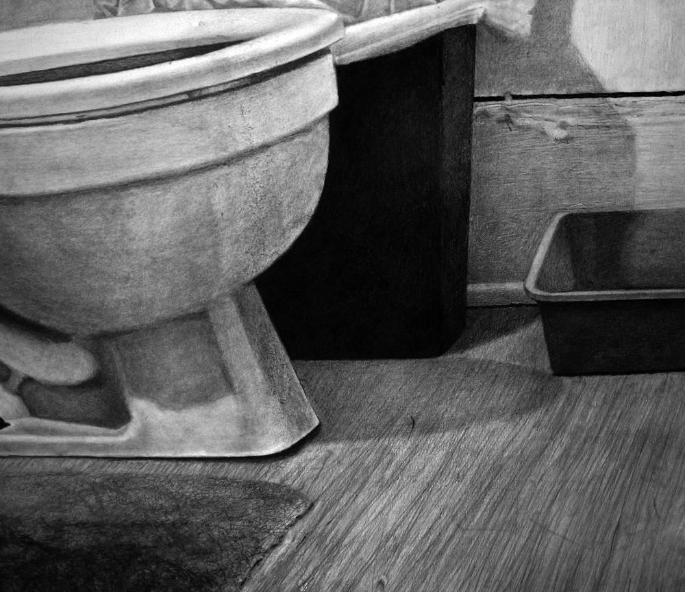 Interior with Recluse Spiders