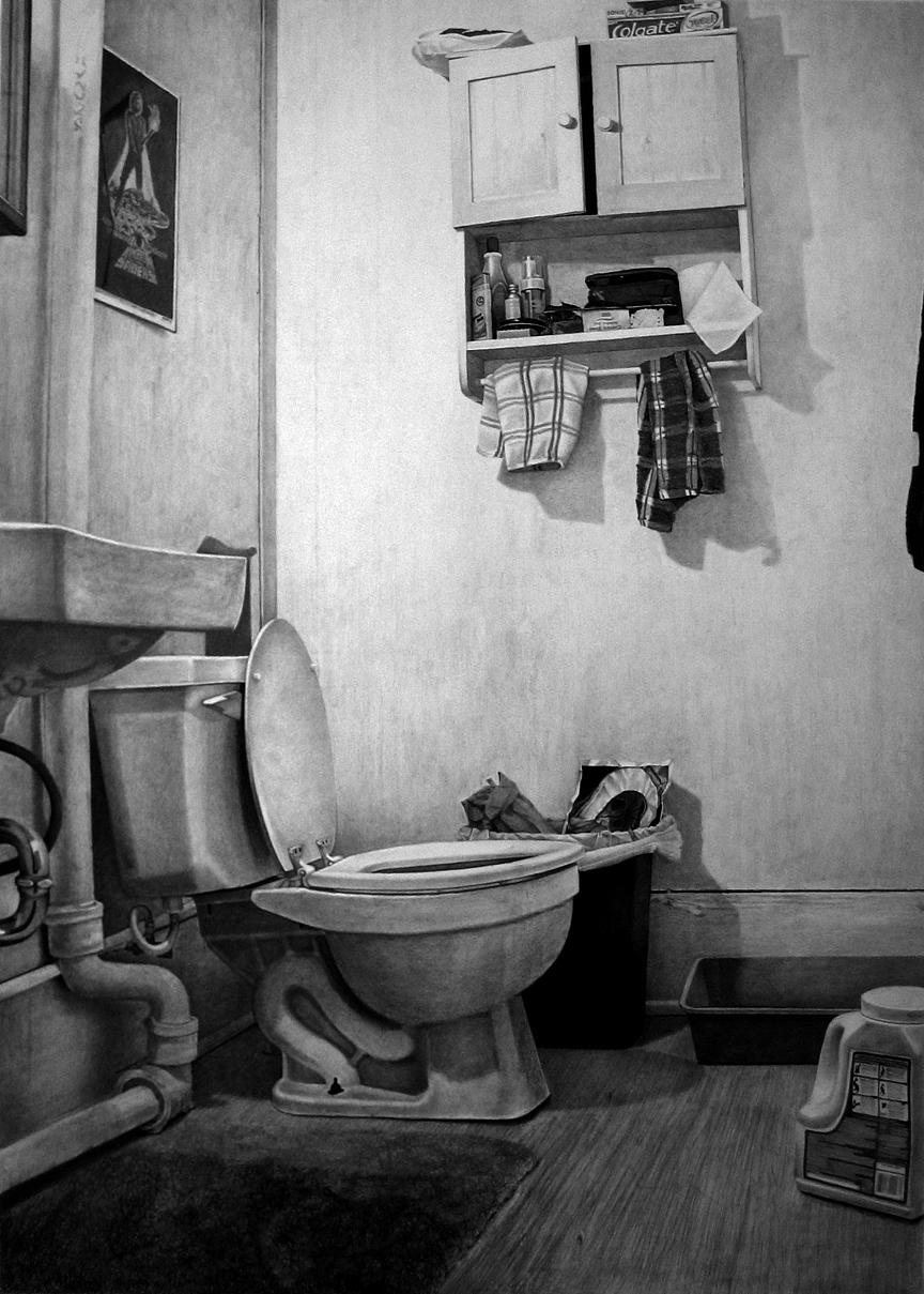 Interior with Recluse Spiders