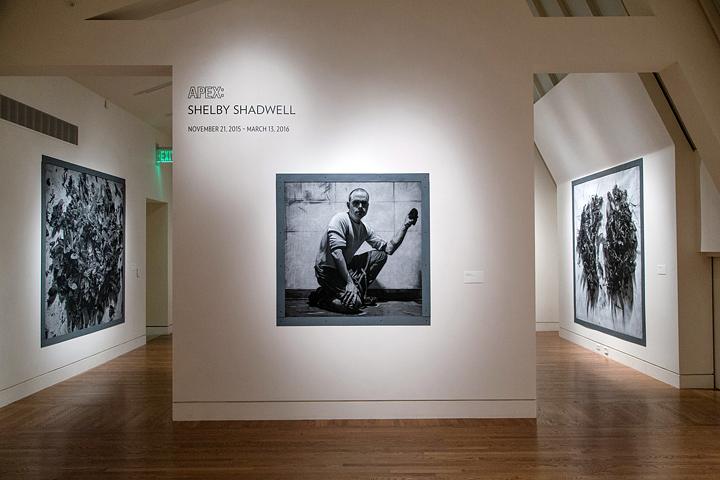 APEX: Shelby Shadwell