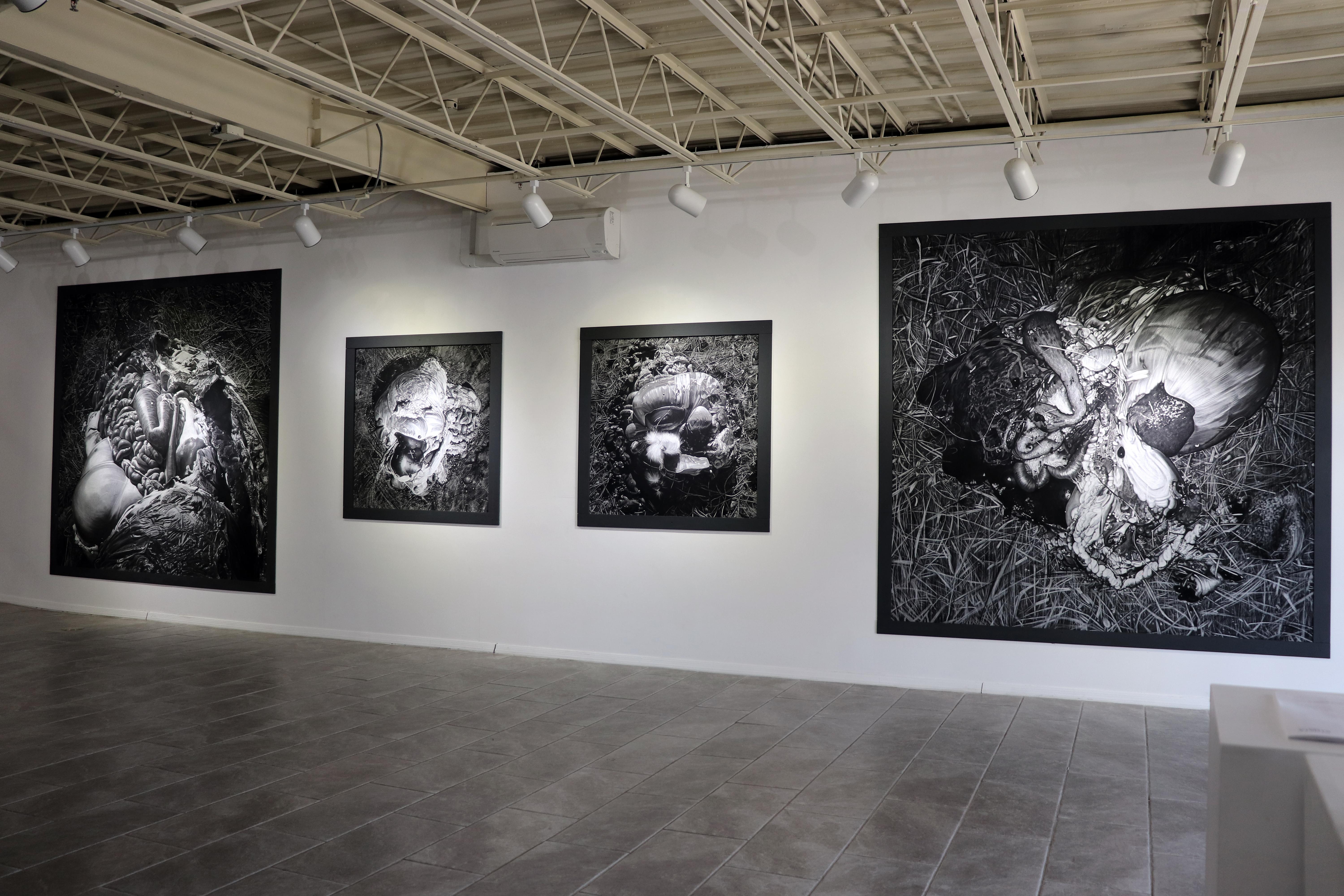 STRATA Gallery, Santa Fe, NM