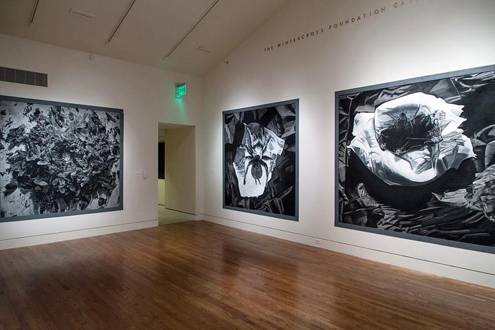 APEX: Shelby Shadwell