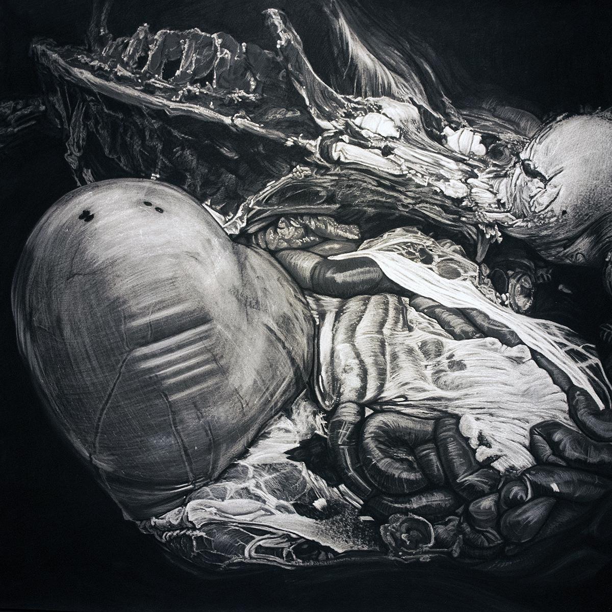 VISCERAL 5