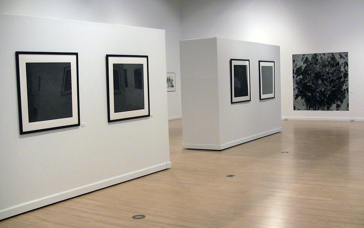 SHADES: Contemporary Drawing 