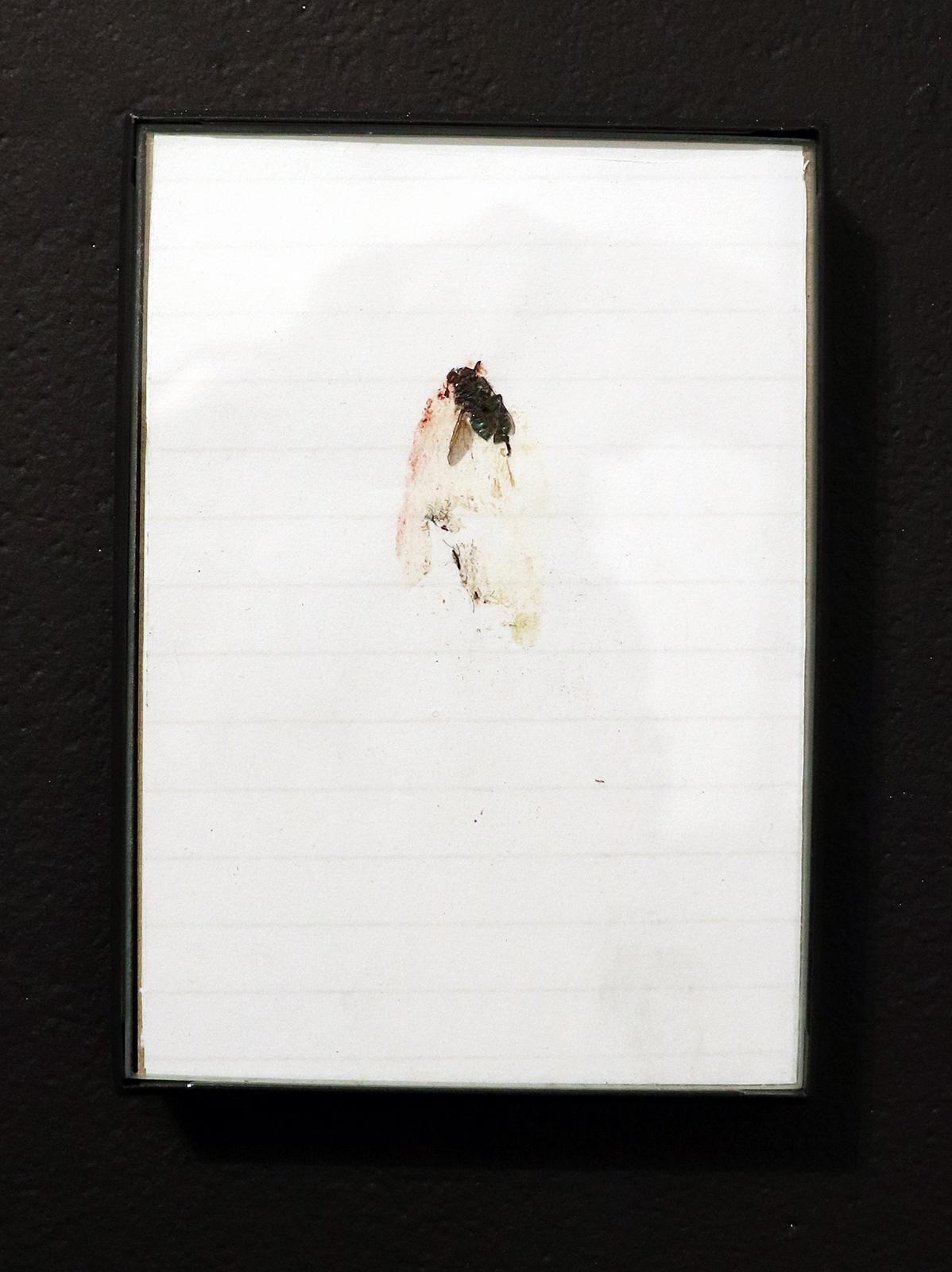 Source material for SIC drawing