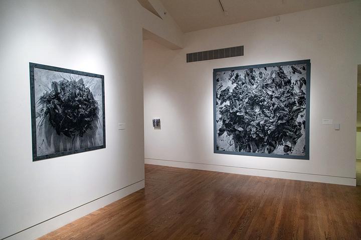 APEX: Shelby Shadwell