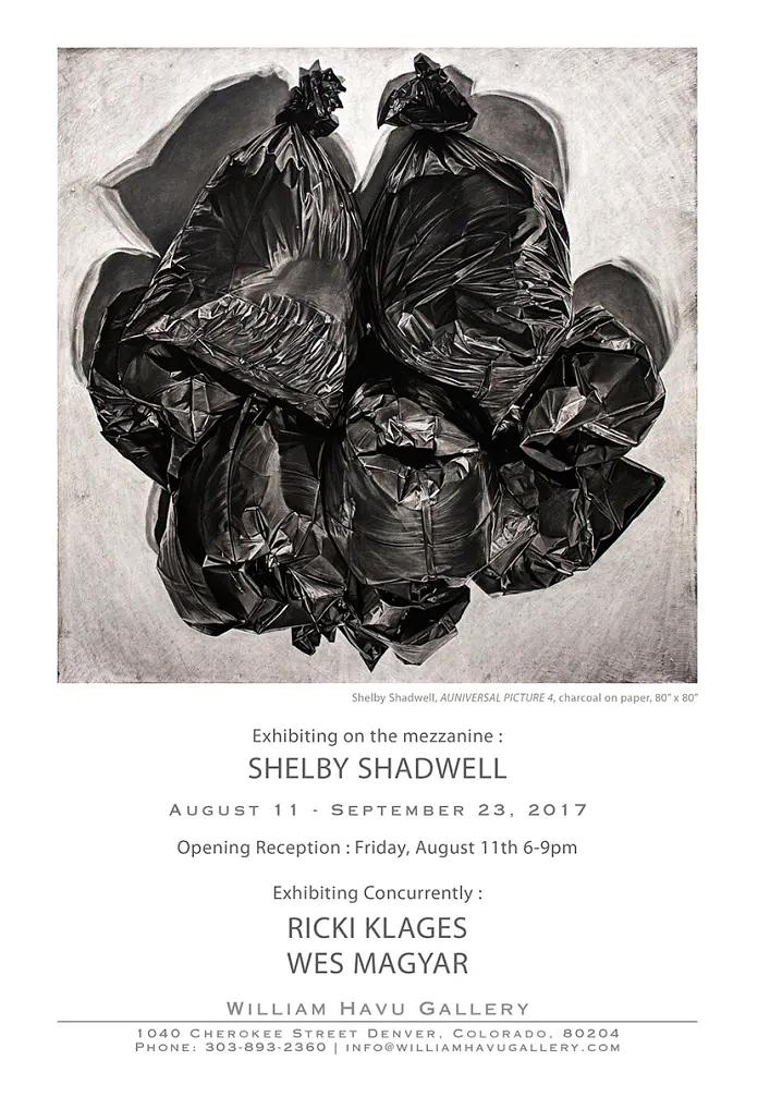 William Havu Gallery - 2017