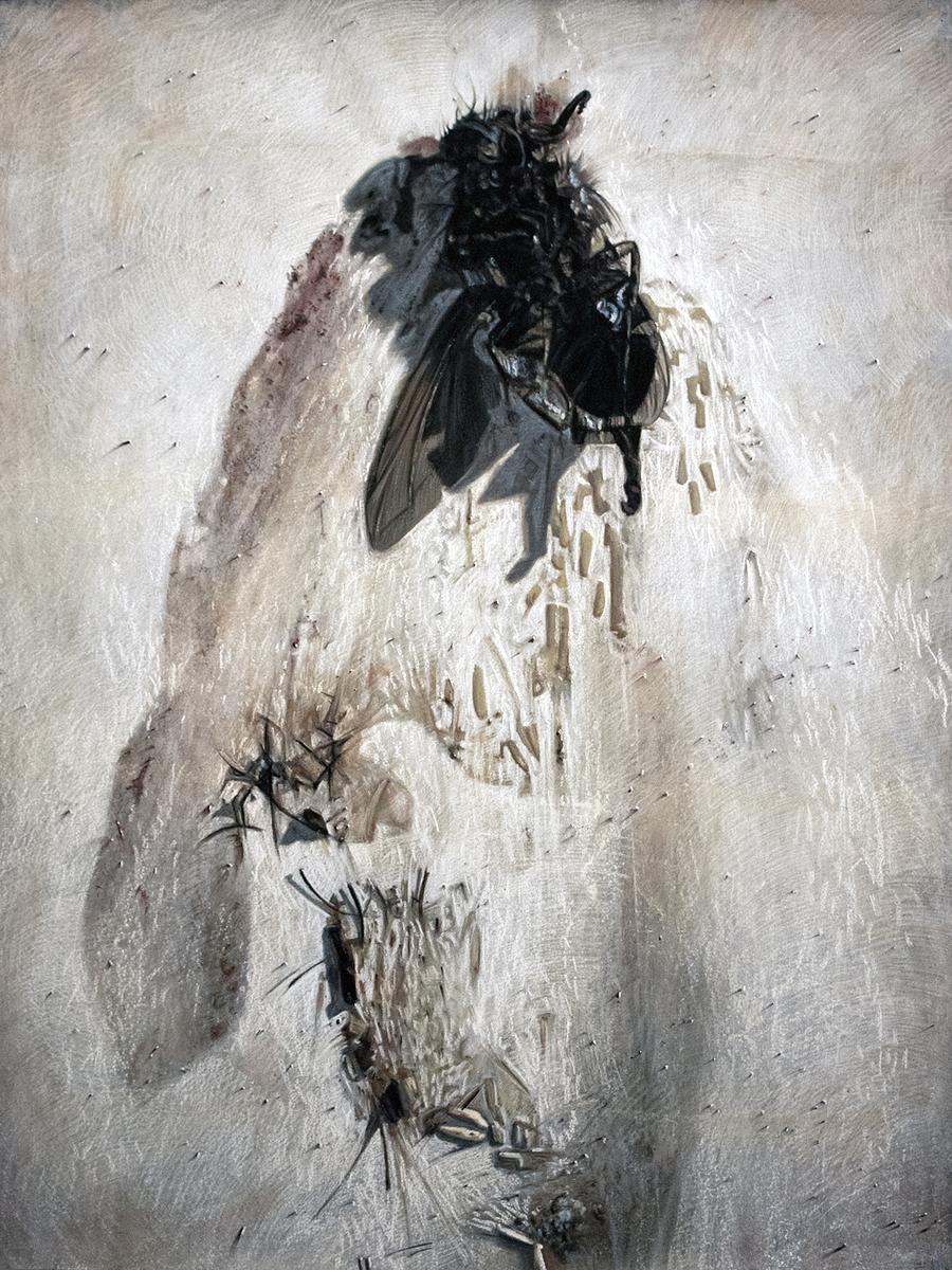 folder_preview_521799