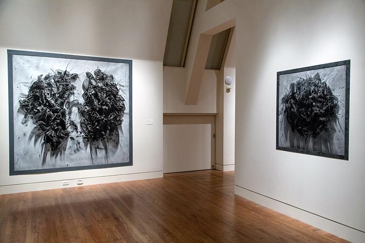 APEX: Shelby Shadwell