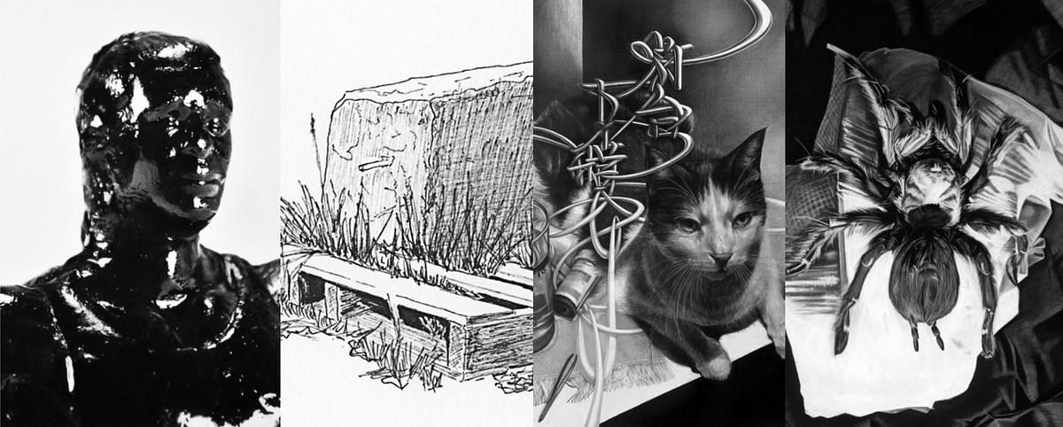 Shapeshifter: Drawing from Observation Shapeshifter: Drawing from Observation