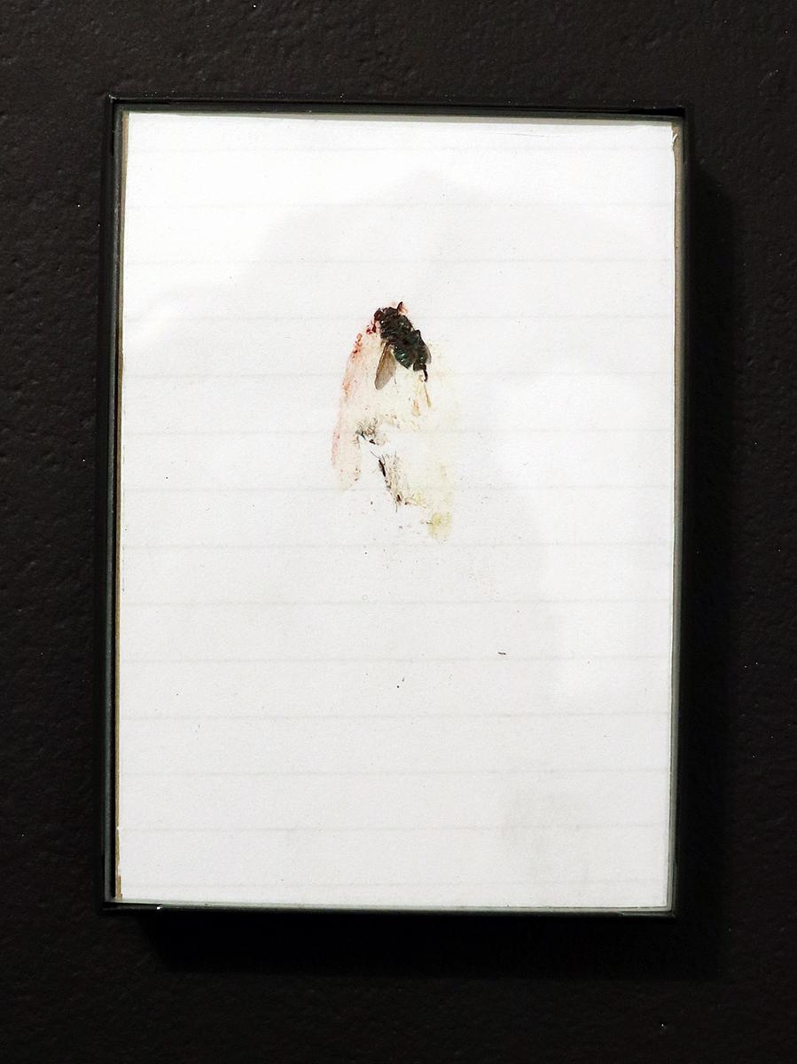 Source material for SIC drawing