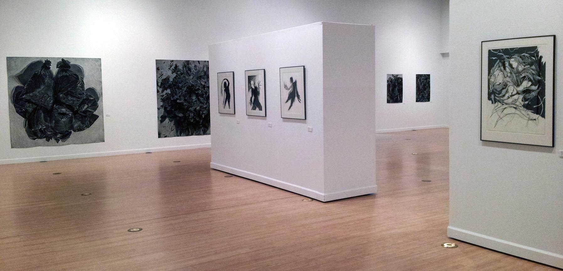 SHADES: Contemporary Drawing 