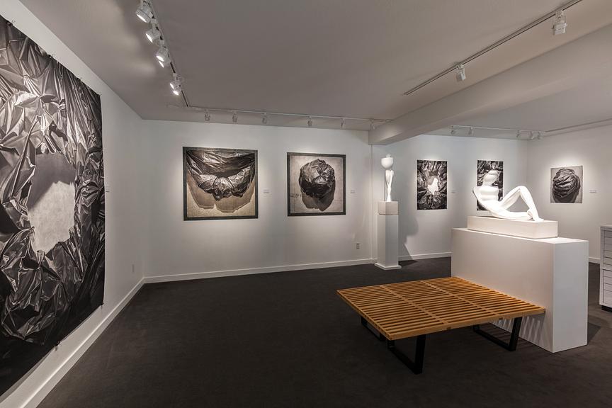 William Havu Gallery - 2017