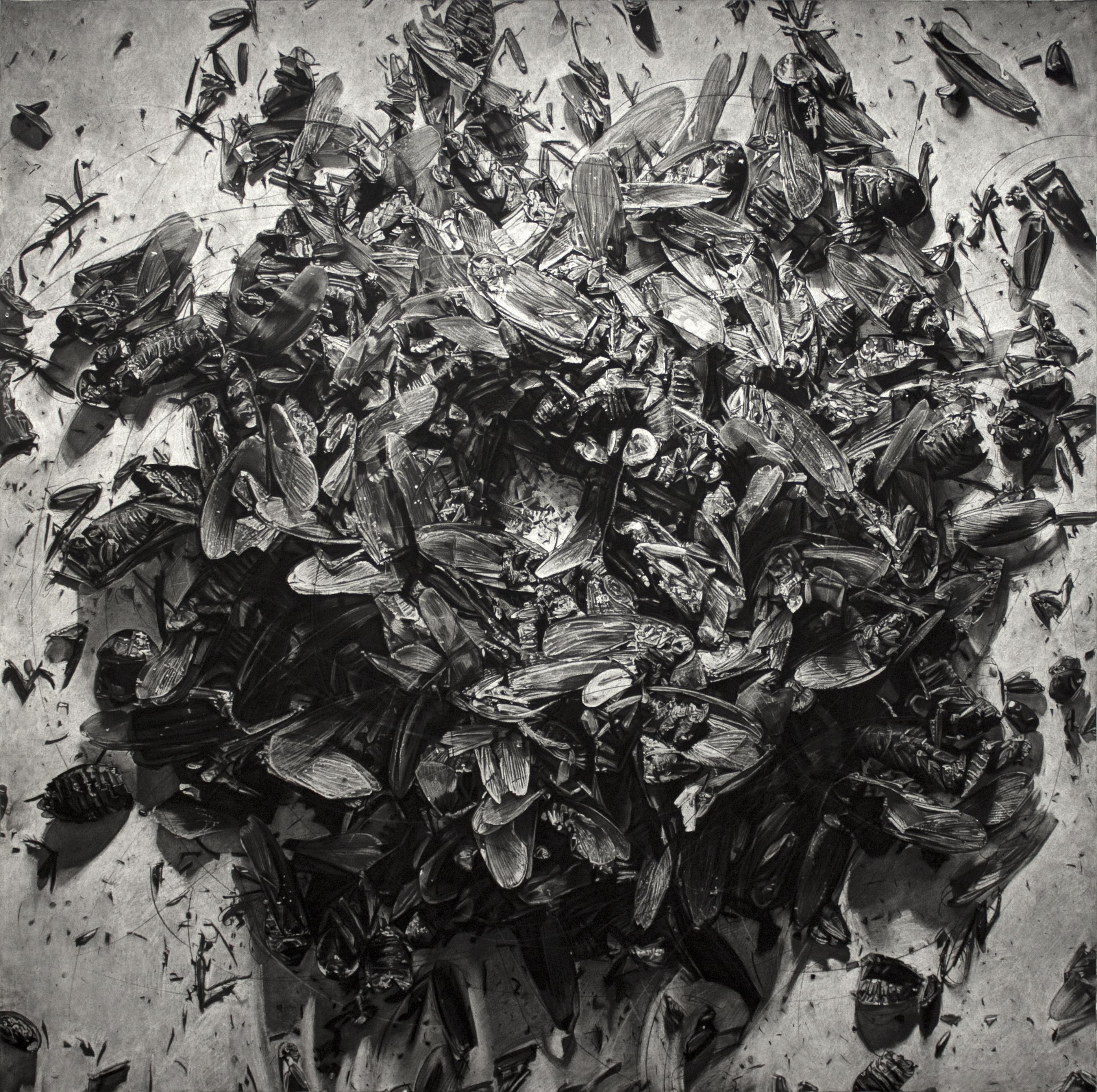 AUNIVERSAL PICTURE 3