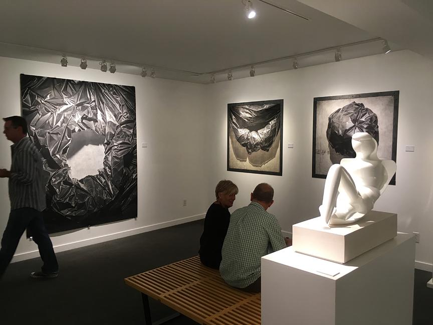 William Havu Gallery - 2017