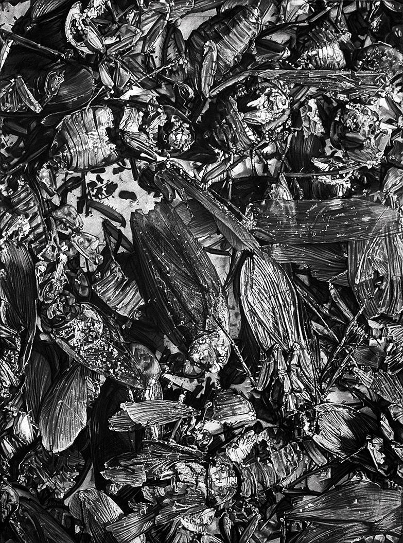 AUNIVERSAL PICTURE 2