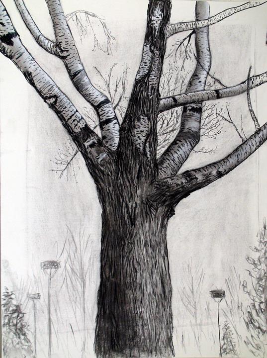 Drawing I
