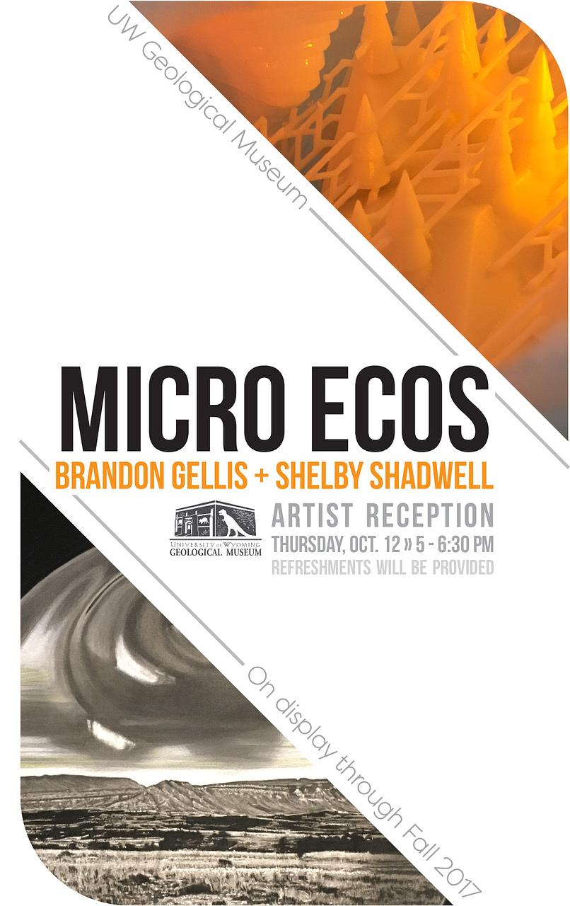 MICRO-ECOS