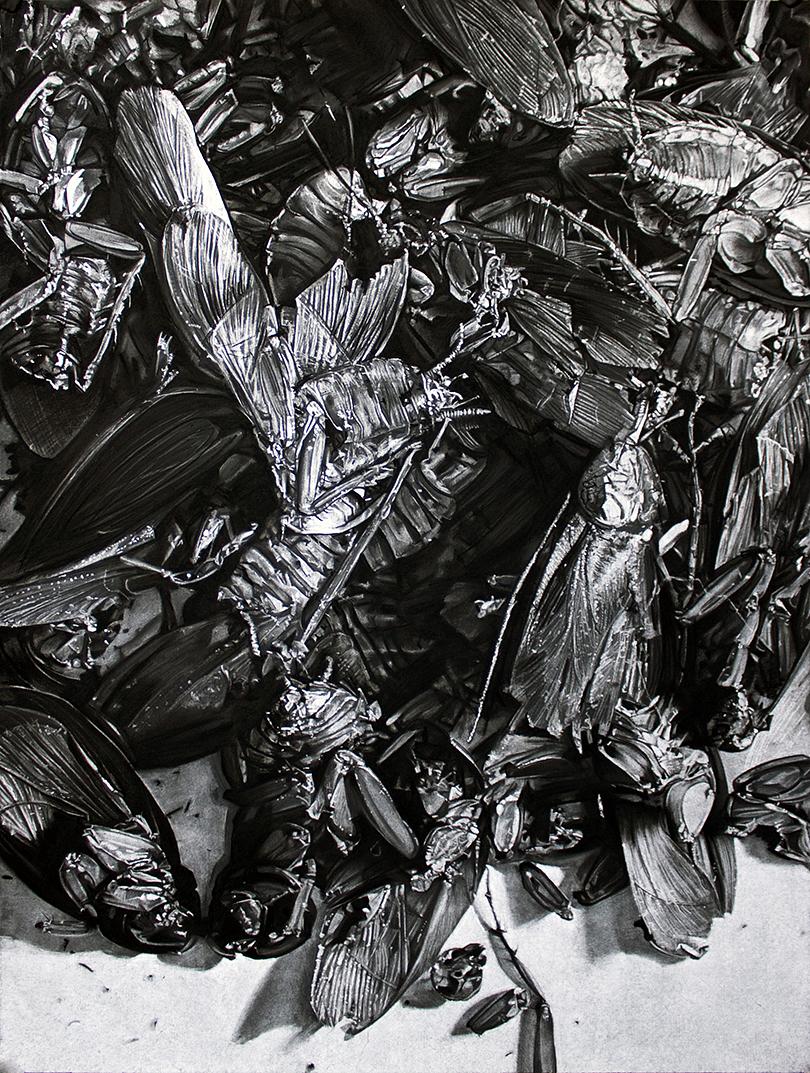 AUNIVERSAL PICTURE 1